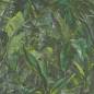 Preview: Muster Tapete grüner Dschunger